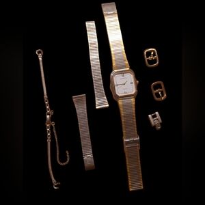 BOGO: Parts GENVIA WATCH AND LINKS
